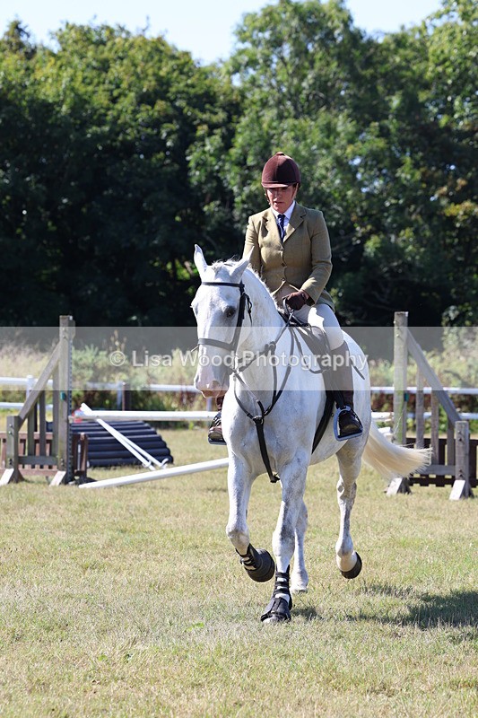 3E7A5861 - Class 5: Working Hunter 90cm
