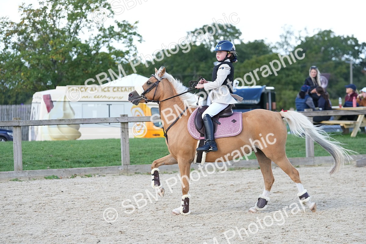 SBM_18175 - J58 - Clear Round 50cm