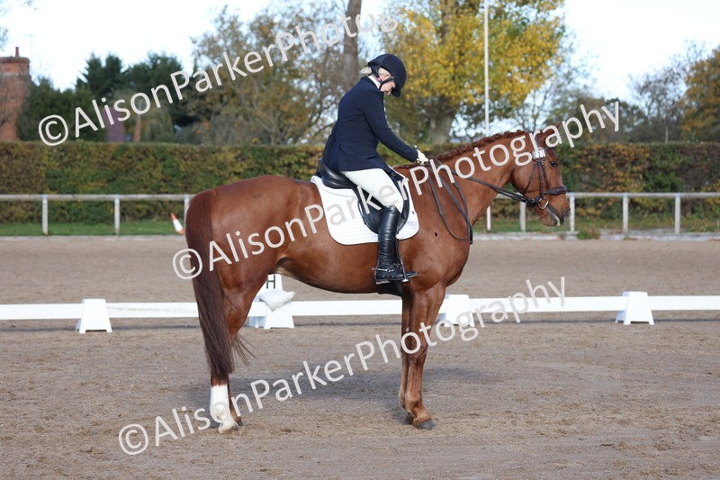 20251102-0719 - Class 4 - Novice 6