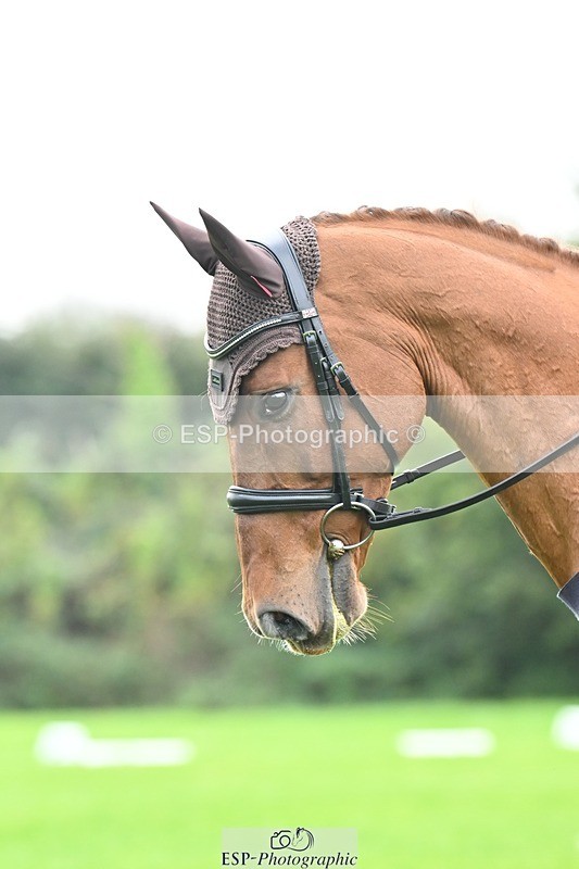 241024-100520-02092 - 308-Rachel.Lawson-RED.STAG