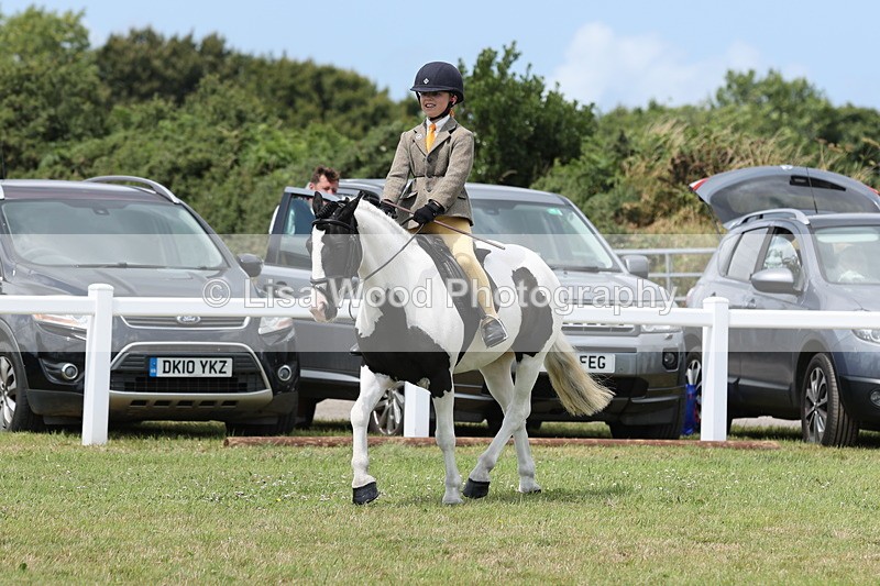 JPP_1954 - Class 18: Tiny Tots Working Hunter Pony