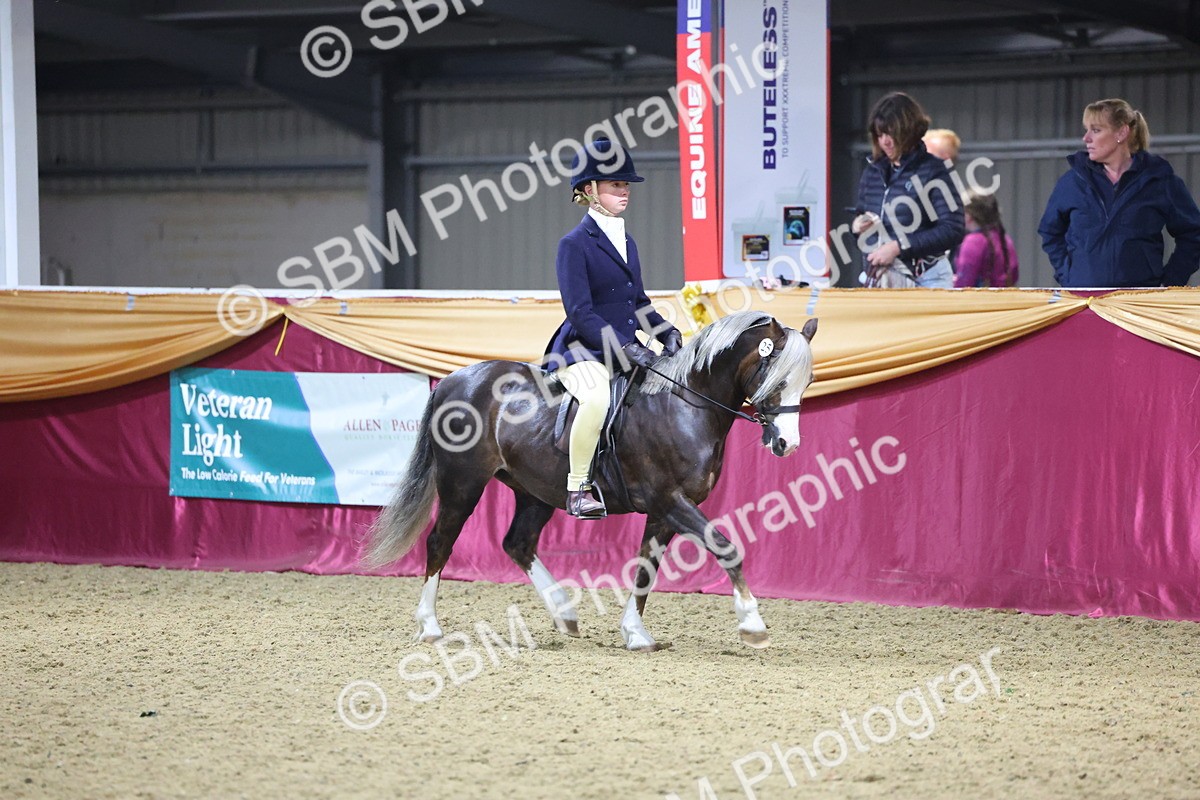 0B8A4642 - Class R Working Veteran Champ