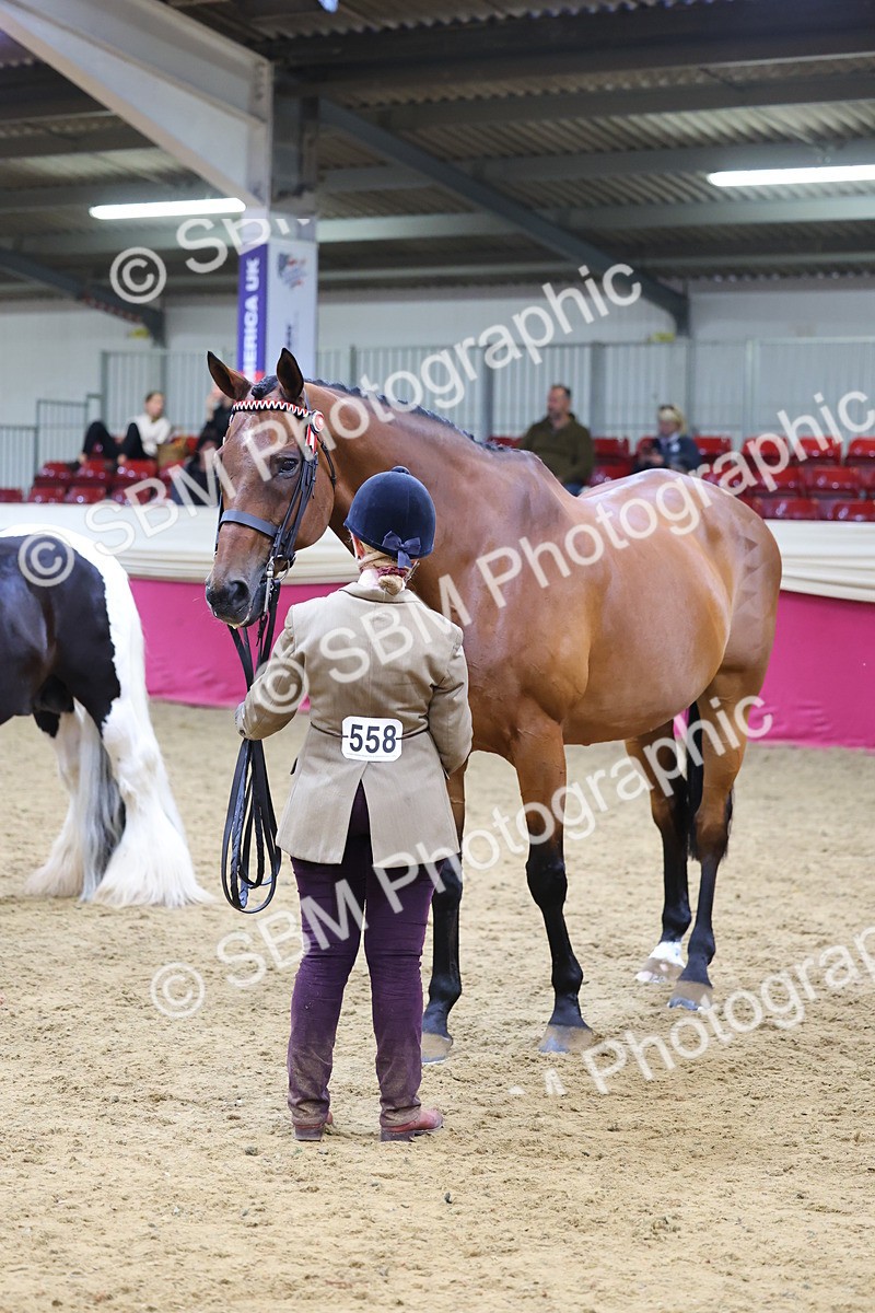 SBM_21144 - Class 902 - Supreme Final IH Veteran