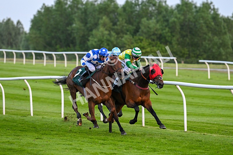 310524-Race 6-Mister Sox-9040 - Race 6