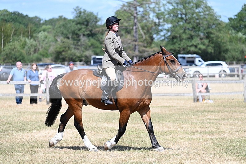 WJ7_3480 - Class 8 Ridden Veterans