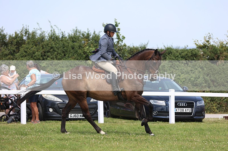 JPP_3248 - Class 22: Working Hunter 70cm