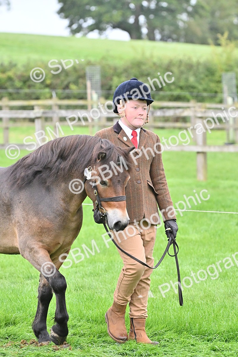 SBM_60920 - S48 - Mountain & Moorland In Hand Small Breeds