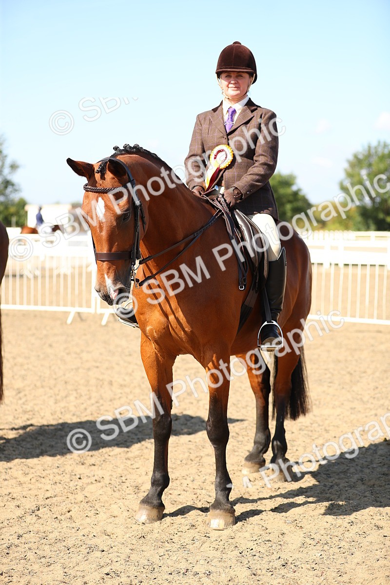 SBM_02384 - Class 43 Ridden Competition Horse/Pony