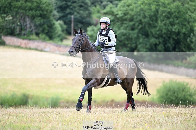 250803A-124625-13308 - M-556-Alex.Jupp-CARRY.ON.REGARDLESS