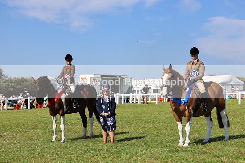 IMG_1684 - Skewbald and Piebald Ridden Championship