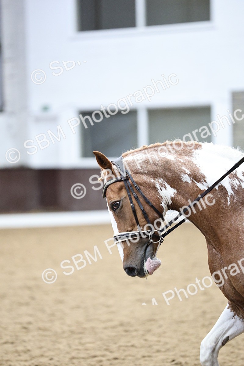 SBM_002636 - Class 14 - Advanced Medium 6