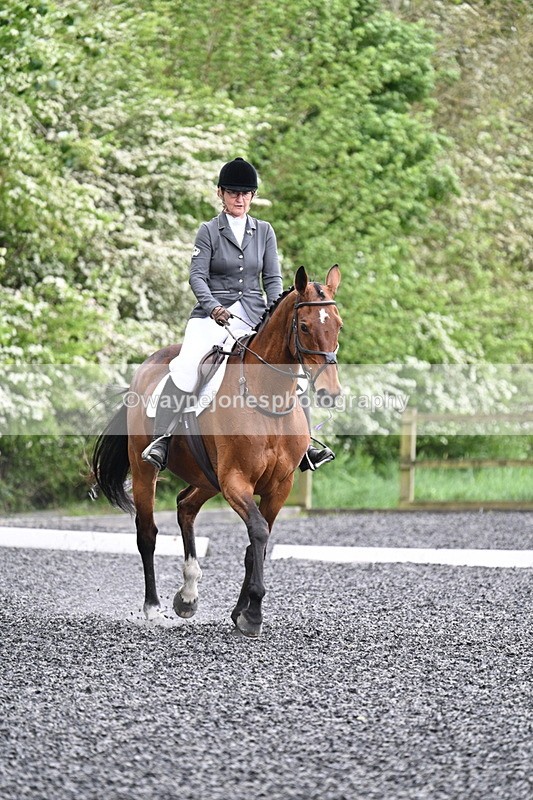 WJ7_1171 - Time 14:16 to 14:55