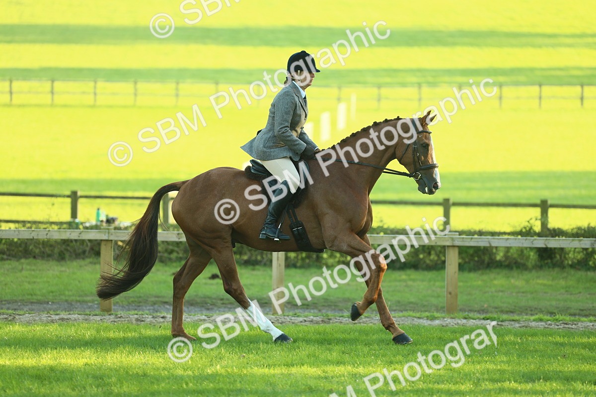 SBM_56393 - S14 - Riding Club Horse