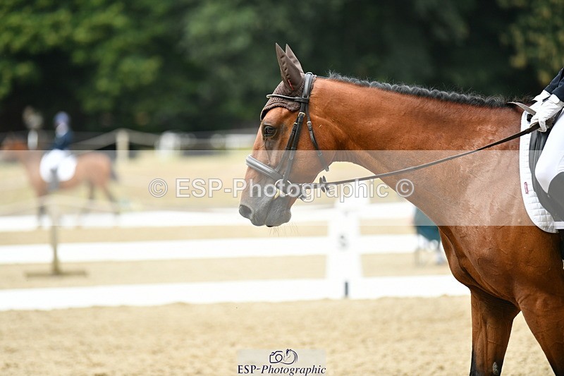 250718A-114722-01235 - 034-Sarah.Fisher-Demitrius.Lark.Endeavour