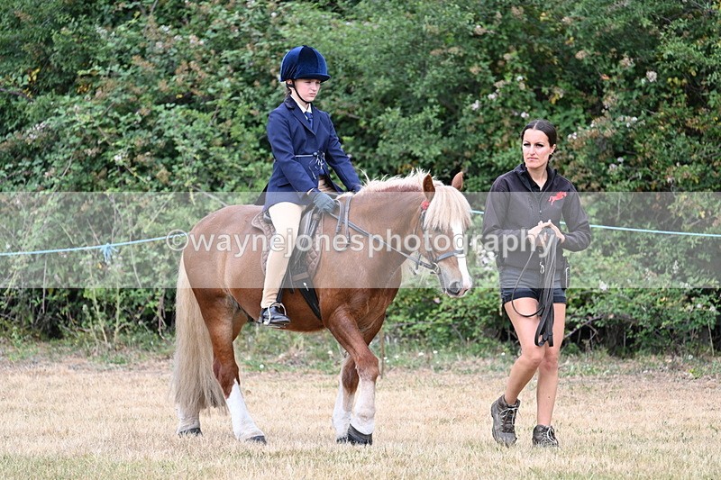 WJ7_0110 - Class 2 Best rider