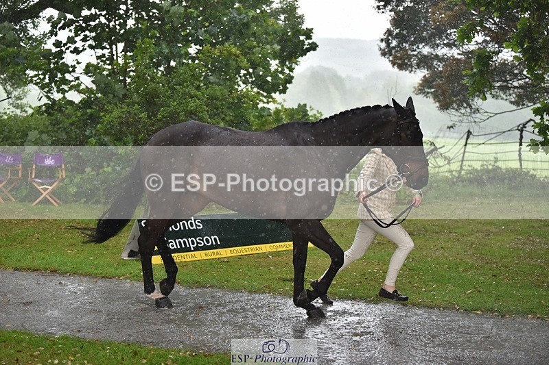240522-151626-00220 - 366-GYPSIE_DU_LOIR-Yasmin_Ingham