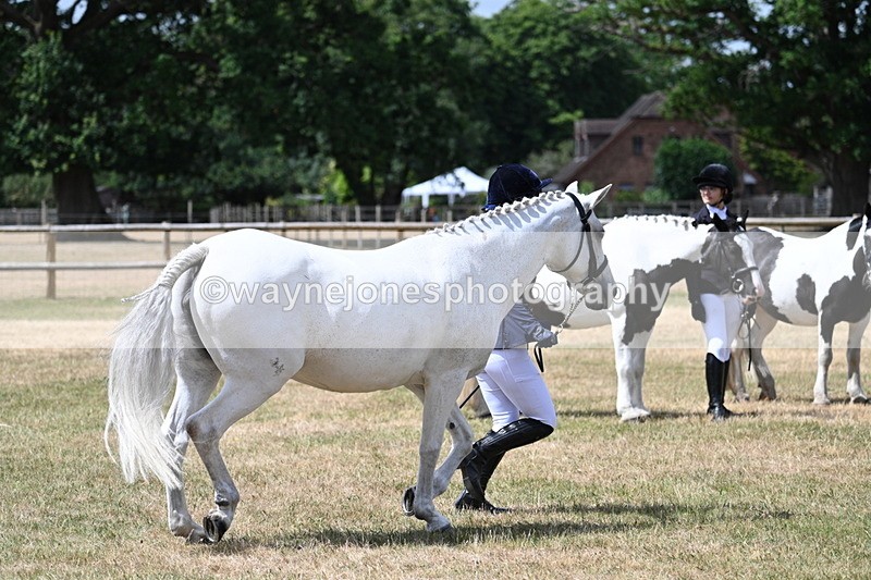 WJ7_1611 - Class 4 Prettiest Mare up to 14.2hh in hand