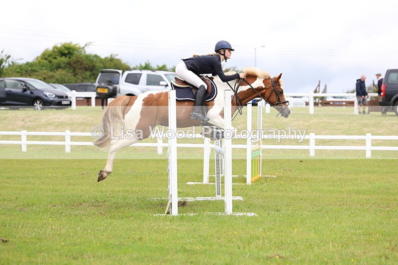 3E7A6691 - Class 10: Pony Newcomers/1m open