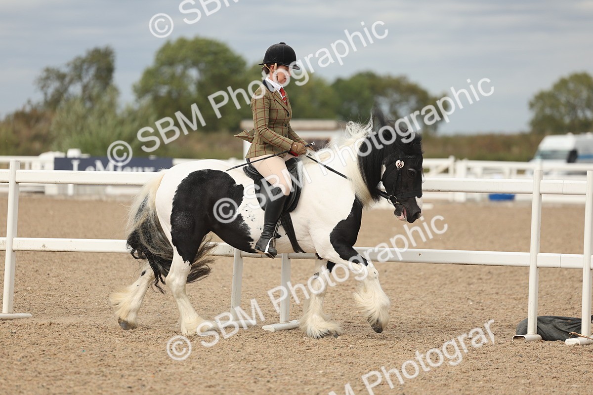 SBM_17993 - Class 314 - Family Horse Pony