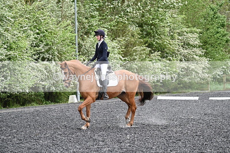 WJ7_1605 - Time 14:58 to 15:03