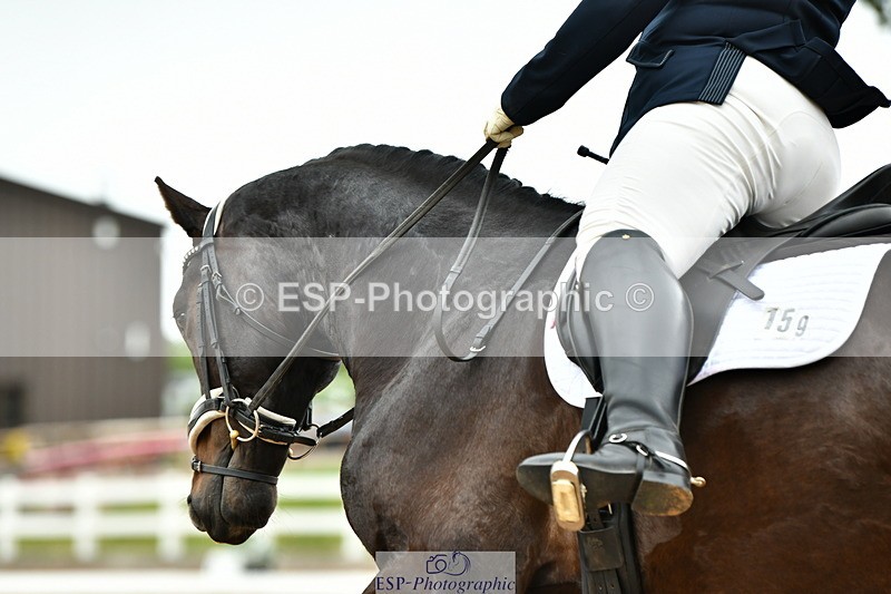 230630A-110752-01272 - Cls 5 Novice 37A