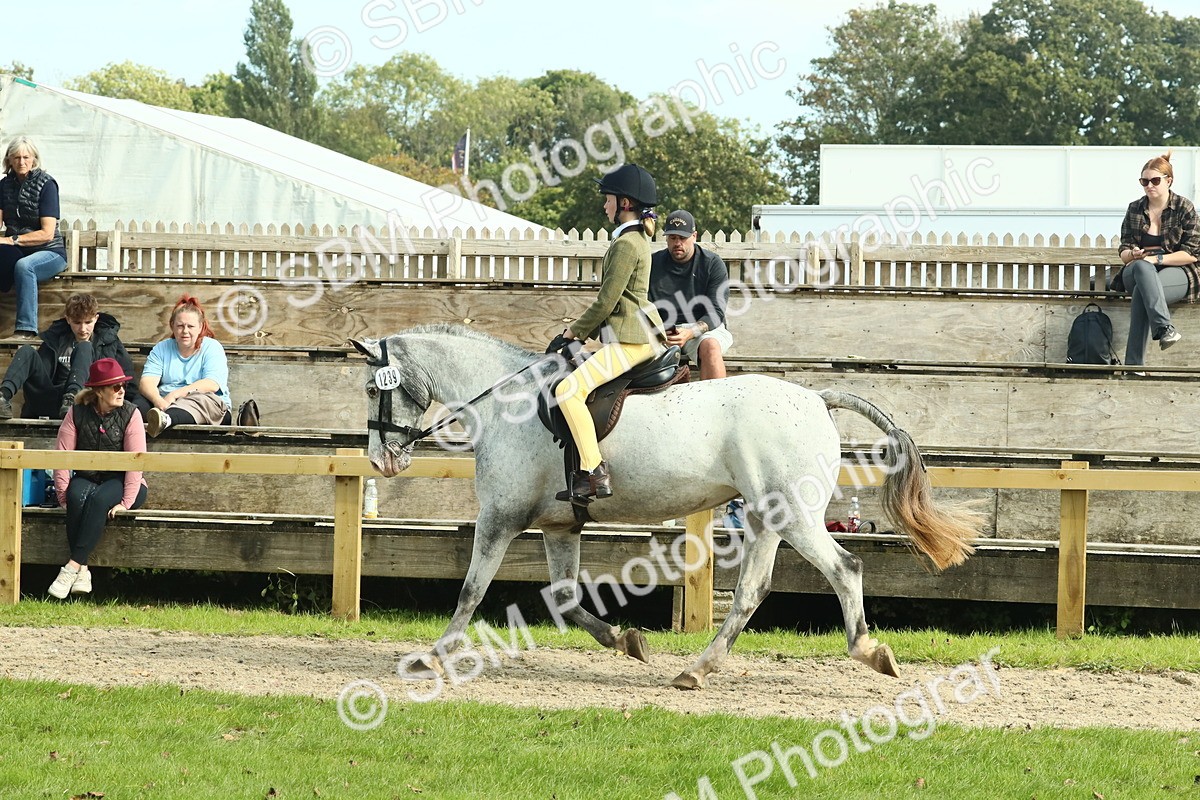SBM_67545 - S56 - Coloured Pony Ridden