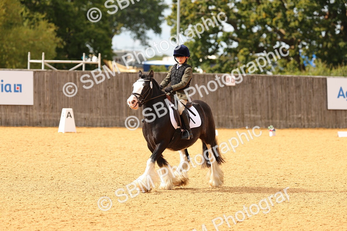 SBM_48222 - D22 - Junior Championship - Intro B