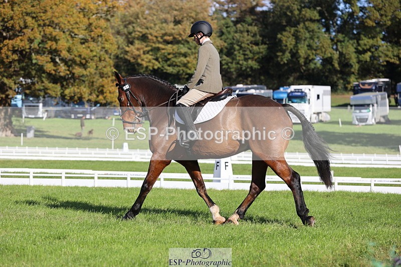 251024A-111847-09941 - D-351-Thomas.Harris