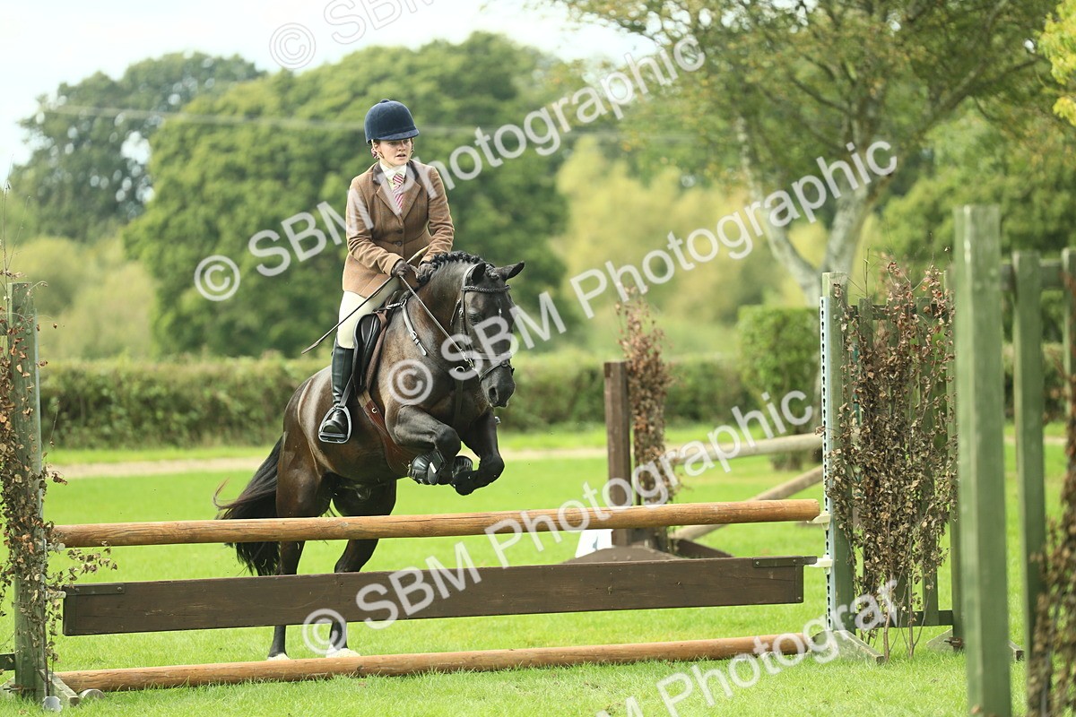 SBM_44779 - S31 - Working Hunter Pony