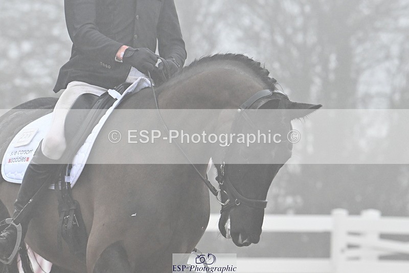 240217A-141604-03401 - 229-Jack.Speakman-Dwynwen