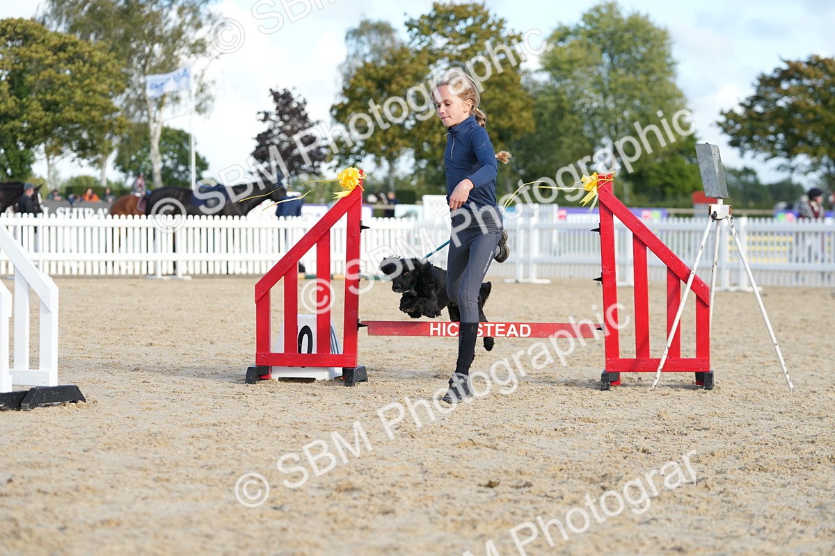 SBM_29121 - J43 - Horse & Hound Open 50cm