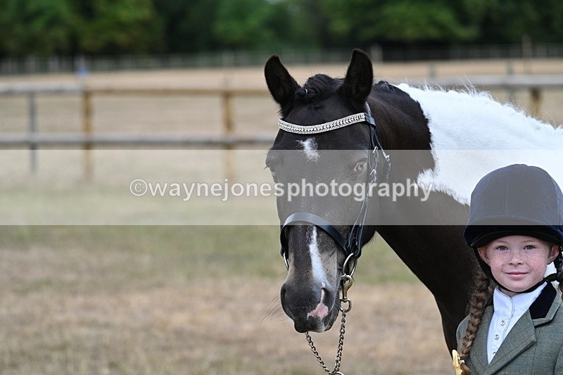 WJ7_9696 - Class 5 Most Handsome Gelding (up to 14.2hh)