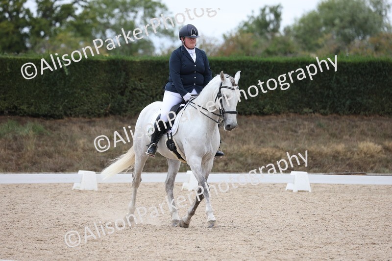 20250820-1040 - Class 17 - Elementary 4