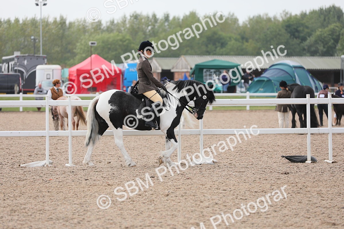 SBM_12668 - Class 307 Ridden Coloured Pony