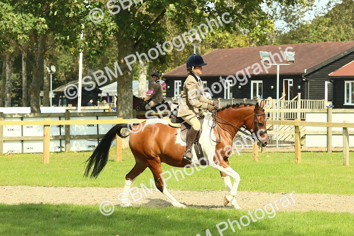 SBM_67495 - S56 - Coloured Pony Ridden