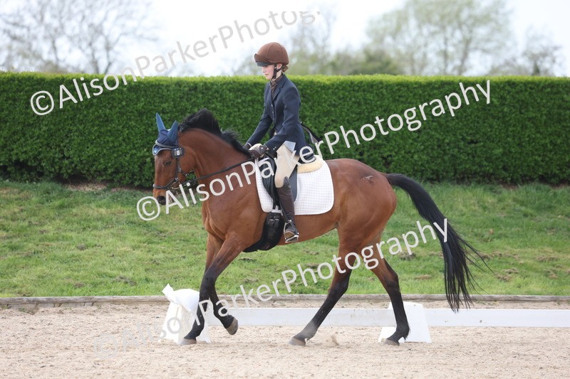 20260404-0916 - Class 5 - Novice 2