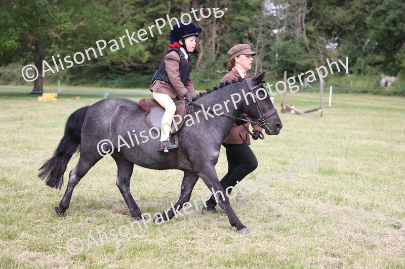 20260614-0578 - Class 20 - Beginners Working Hunter Pony