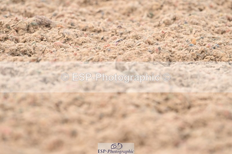 240621A-144341-04009 - Cls 11 BD Medium 73