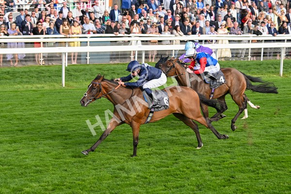 210825-Race 7-Royal Velvet-5655 - Race 7 5.20pm British EBF Fillies' Handicap