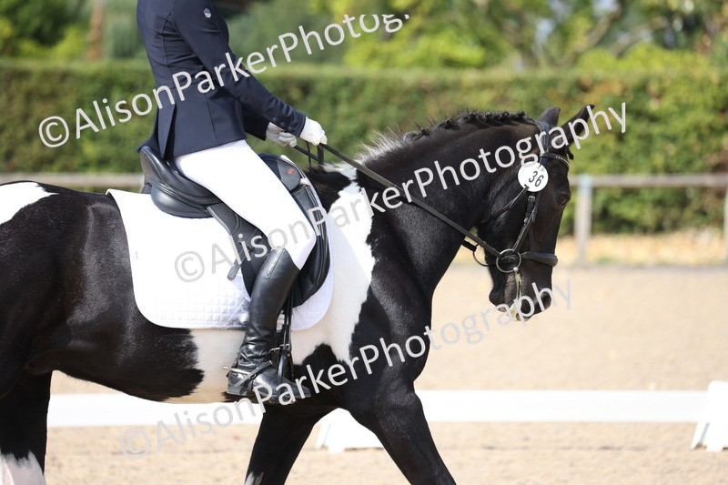 20250820-1350 - Class 19 - Medium 3