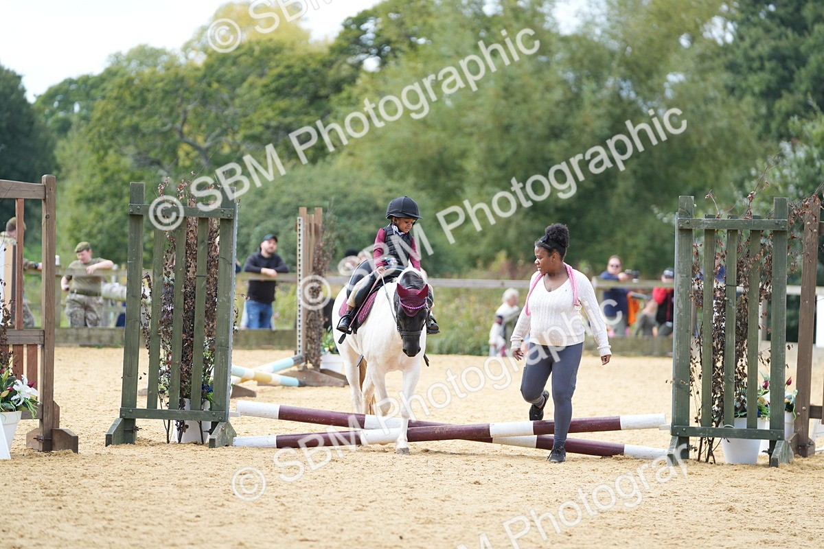 SBM_64341 - J2 - Mini Tour Junior Pony 30cm Championship