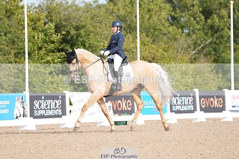 250906-094555-01187 - 025-Carrie.EveGekkos.Gold