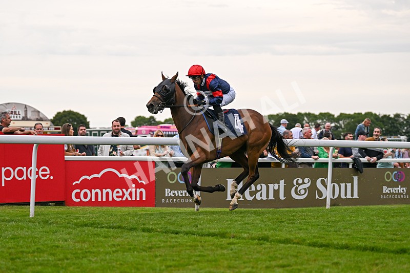 050724-Race 5-Walter Hartright-2543 - Race 5