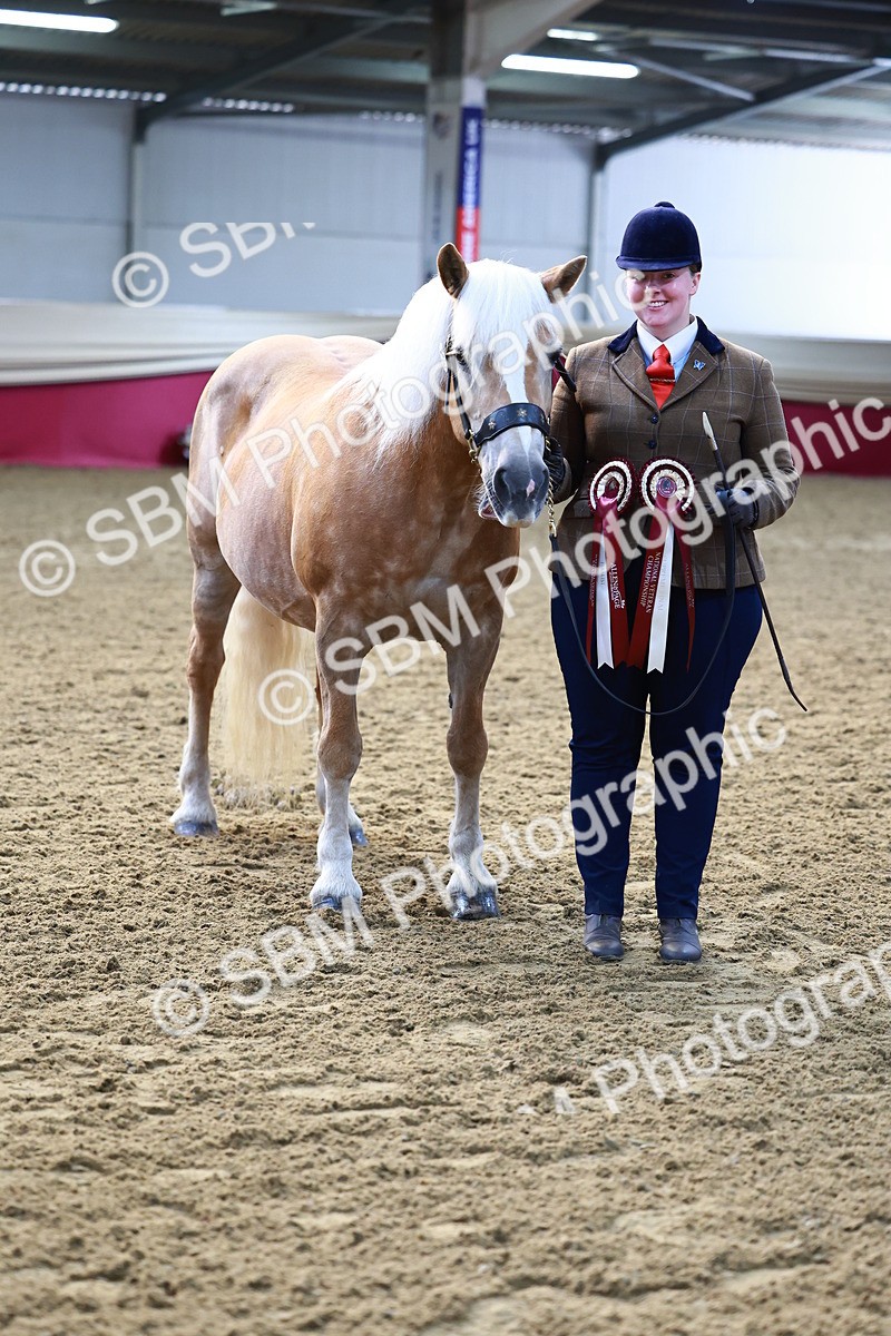 SBM_21932 - Class 901 - Supreme Final - IH  Diamond