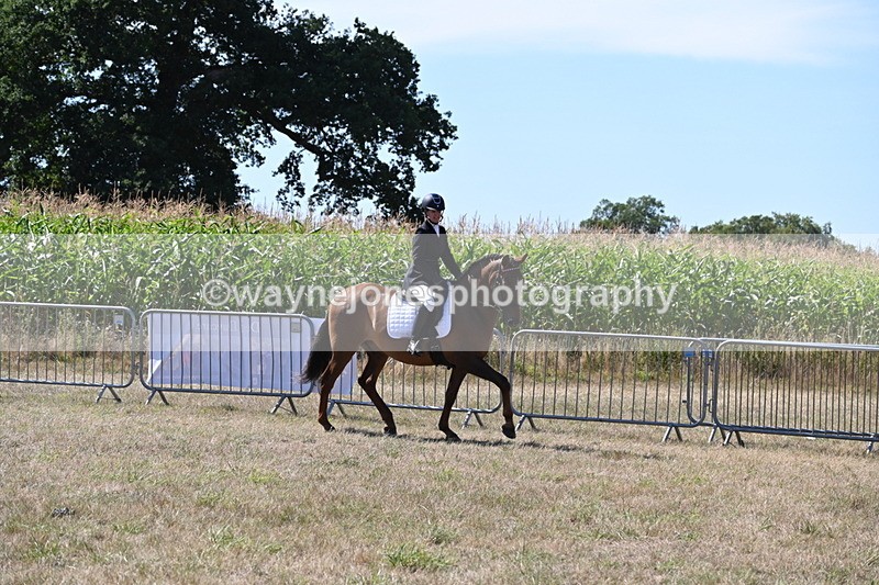 WJ6_8882 - Class 38 Ridden Riding Horse/Pony