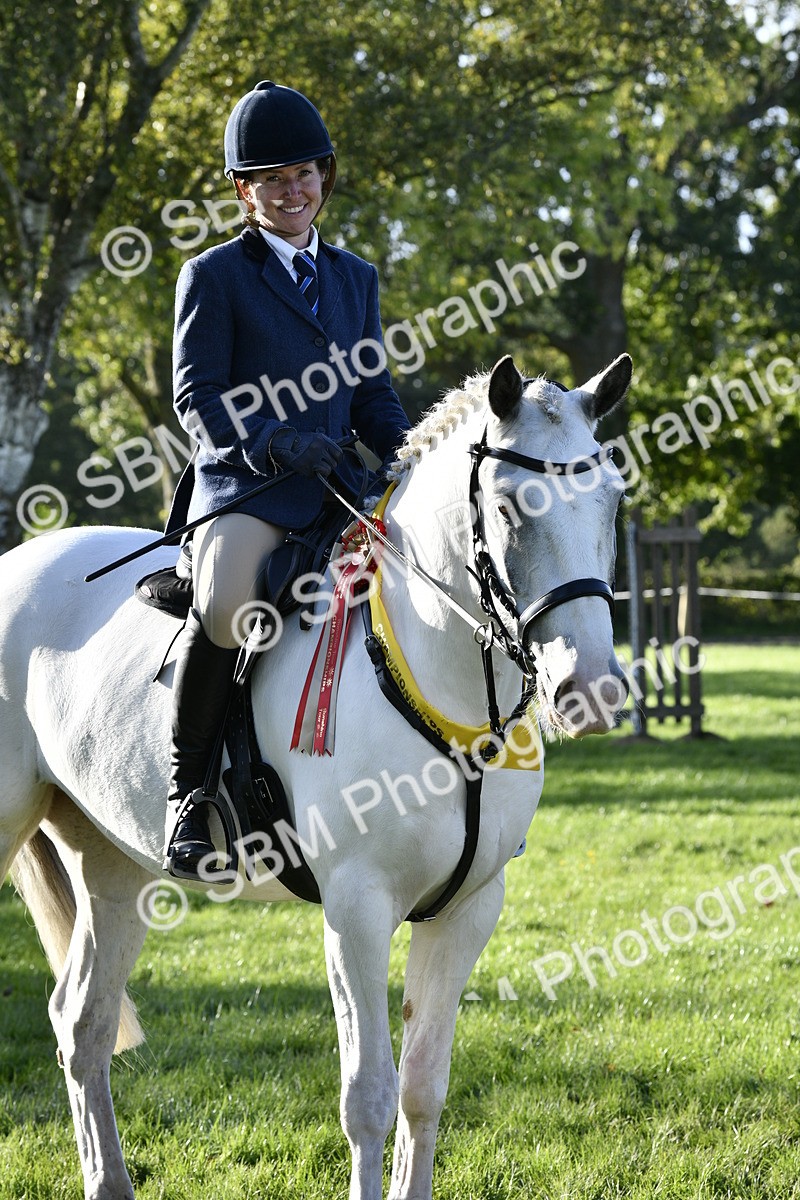 SBM_51746 - Working Hunter Supreme Championship