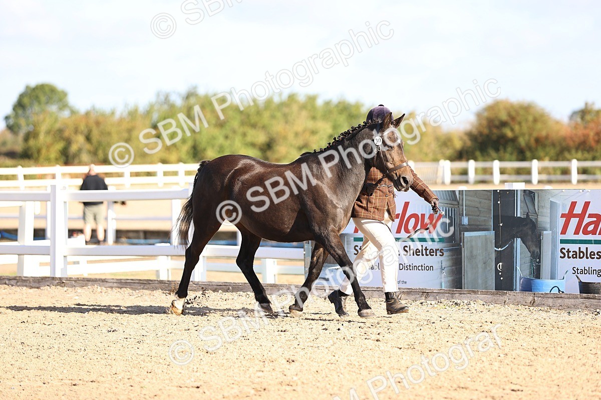 SBM_08466 - Class 402 - IH Veteran Pony
