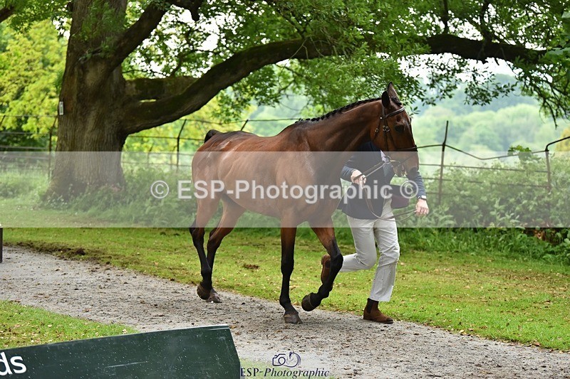 240522-165900-01301 - 272-PRIORSPARK_ROYAL_RIFF-RAFF-Jesse_Campbell