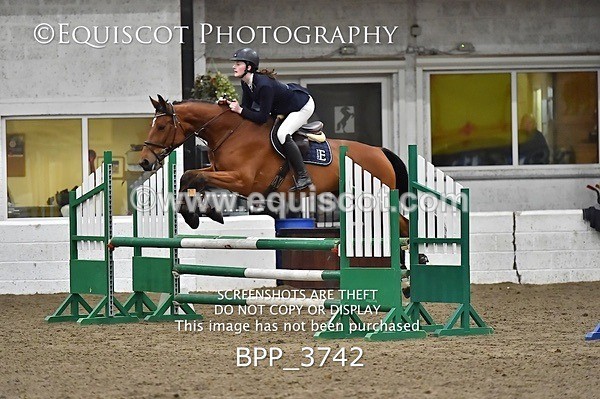 BPP_3742 - FRI CLASS 21 BR NOVICE/90CM