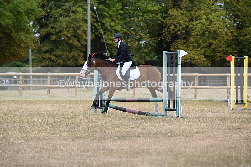 WJ6_0234 - Class 13 Novice Jumping 60cm